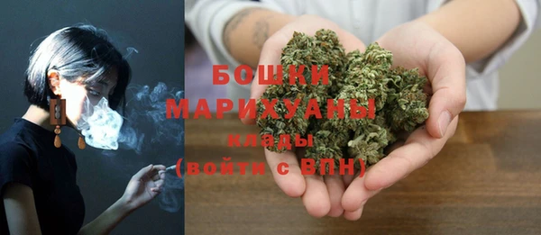 ПСИЛОЦИБИНОВЫЕ ГРИБЫ Балахна