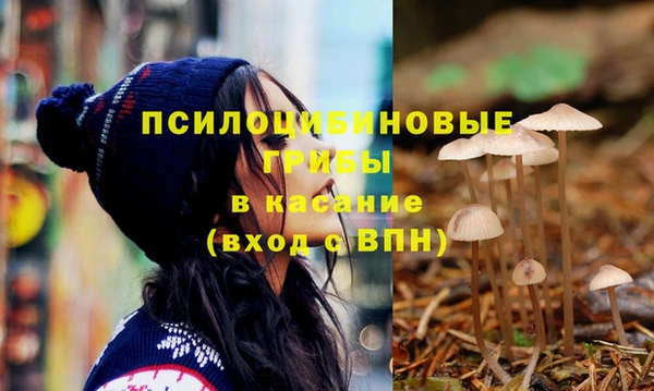 ПСИЛОЦИБИНОВЫЕ ГРИБЫ Балахна