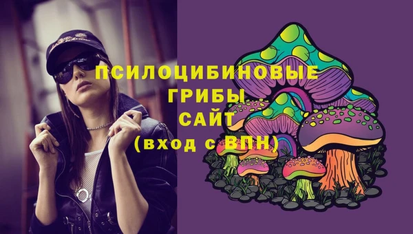 ПСИЛОЦИБИНОВЫЕ ГРИБЫ Балахна
